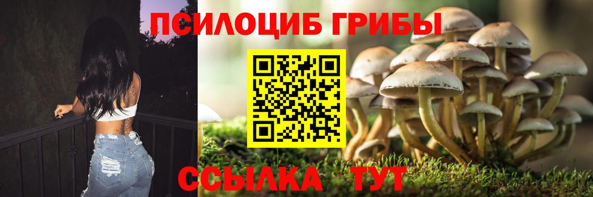Галлюциногенные грибы мицелий Чусовой